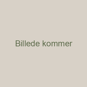 Malerier - Movement Taking Shape II (Bev&aelig;gelse tager form II)