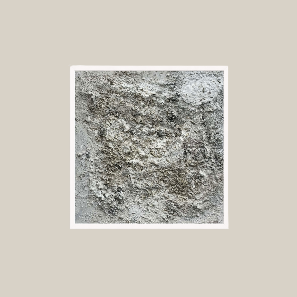 Deposition II (Aflejring II) 50x50 cm