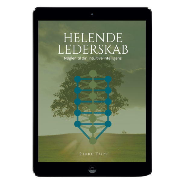 Ebog - Helende lederskab 