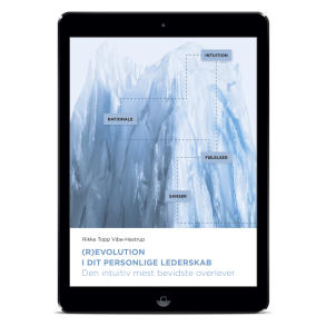 Ebog - (R)evolution af dit personlige lederskab