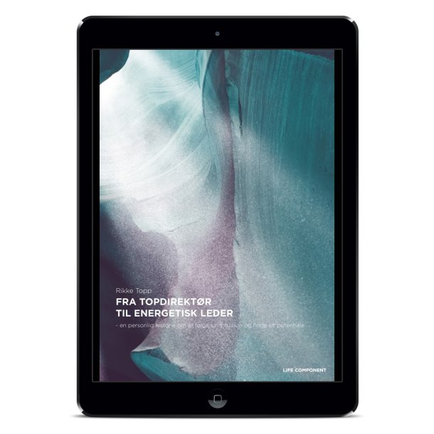 Ebog - Fra topdirekt�r til energetisk leder